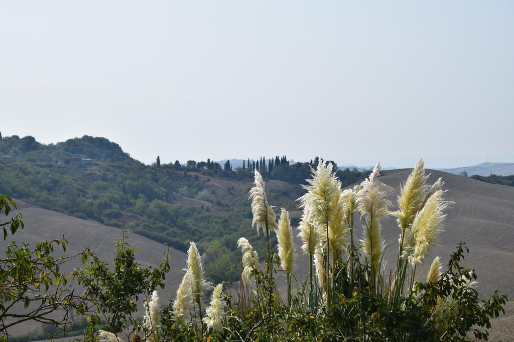 Appartamento Crete Senesi Кастельнуово-Берарденґа Екстер'єр фото