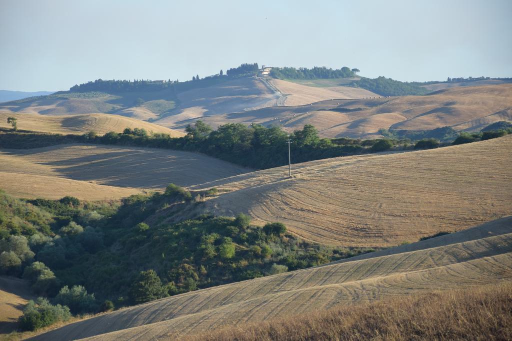 Appartamento Crete Senesi Кастельнуово-Берарденґа Екстер'єр фото