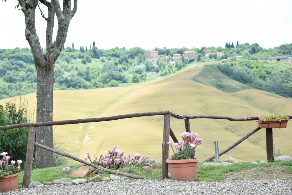 Appartamento Crete Senesi Кастельнуово-Берарденґа Екстер'єр фото