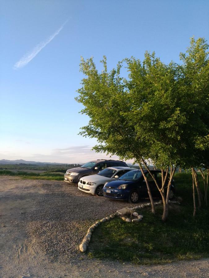 Appartamento Crete Senesi Кастельнуово-Берарденґа Екстер'єр фото